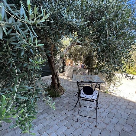 ברנקאלאונה מרינה Appartamento L'Ulivo מראה חיצוני תמונה