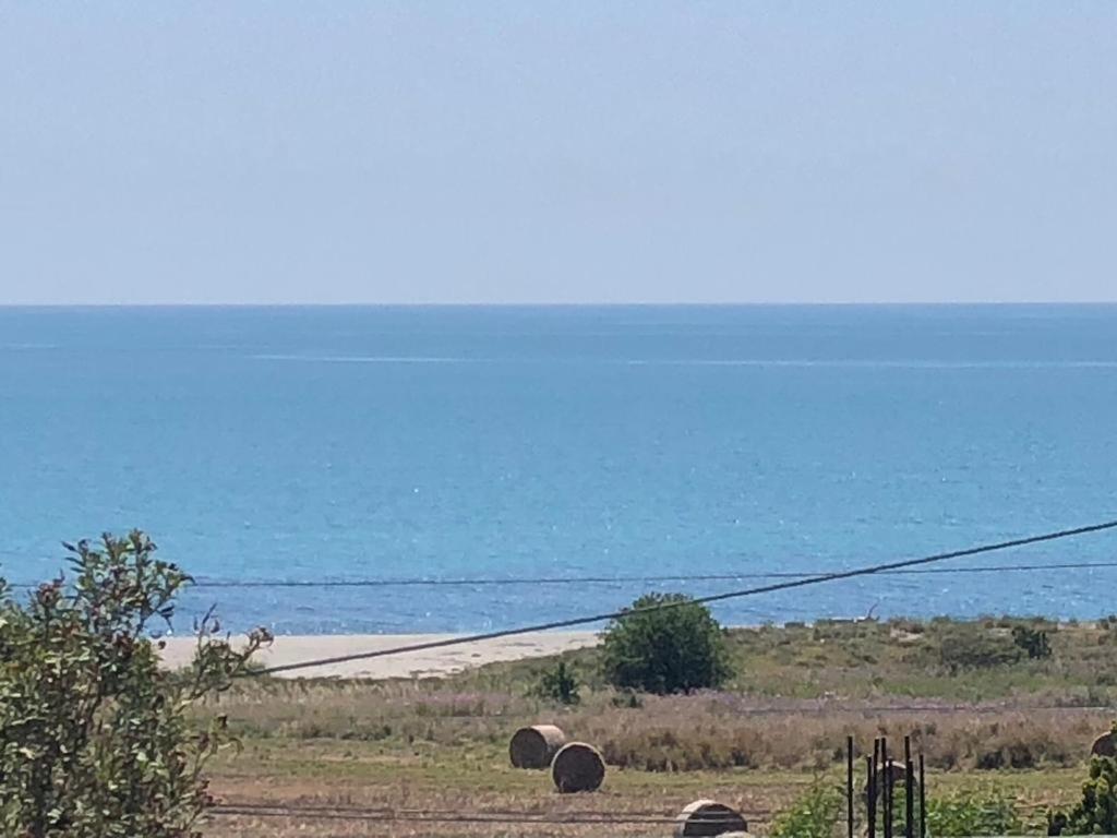 ברנקאלאונה מרינה Appartamento L'Ulivo מראה חיצוני תמונה