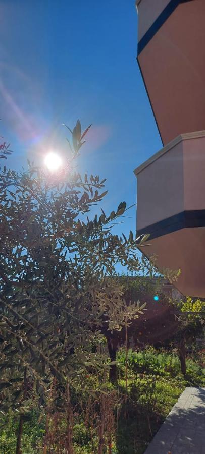 ברנקאלאונה מרינה Appartamento L'Ulivo מראה חיצוני תמונה