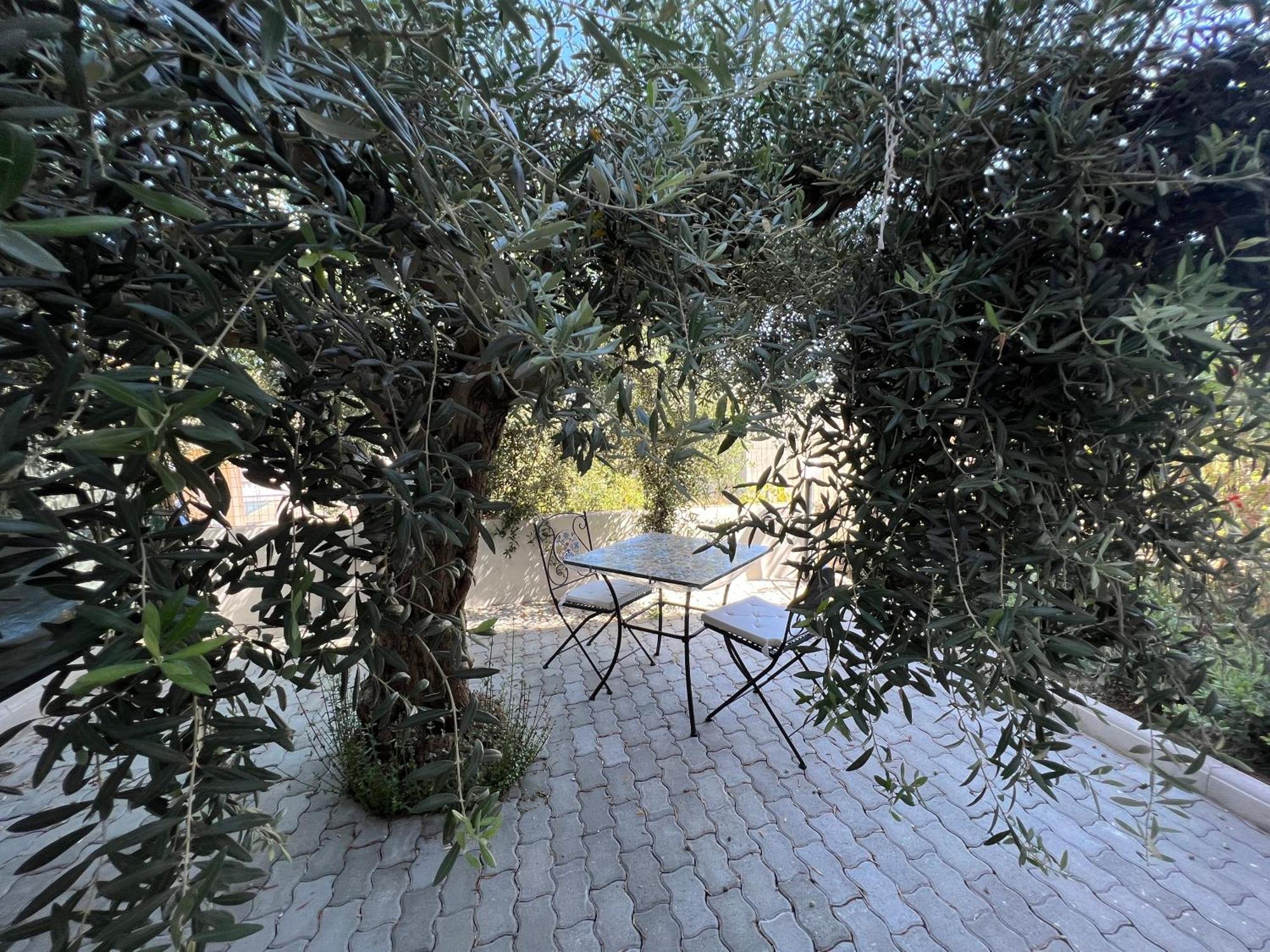 ברנקאלאונה מרינה Appartamento L'Ulivo מראה חיצוני תמונה